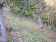 location de vacances : Fond du jardin donnant sur ruisseau
